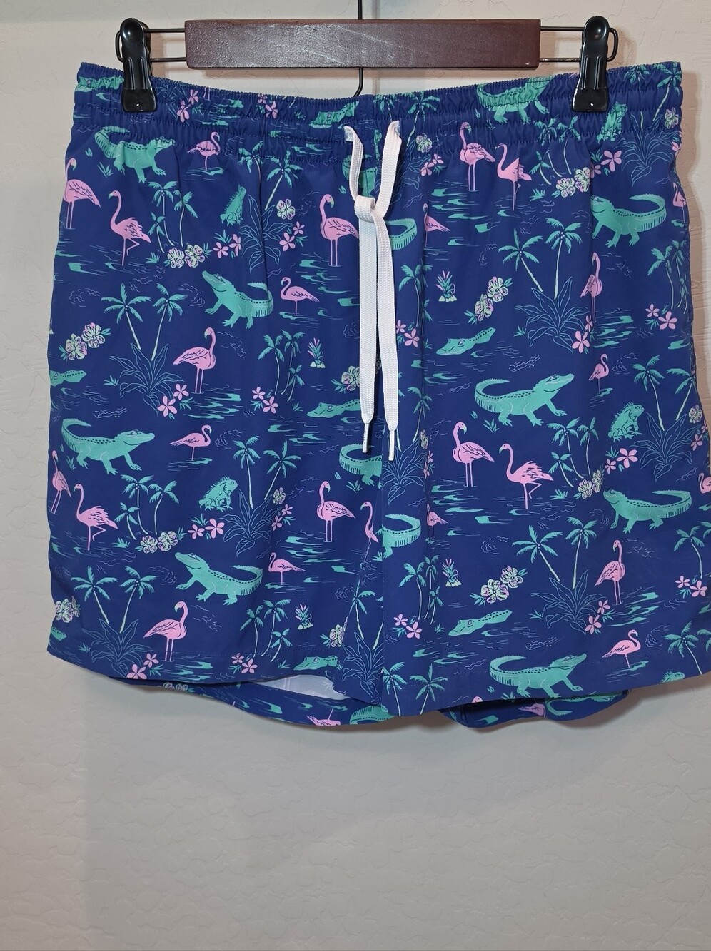 The Swamp & Circumstances" Classic Lined Swim Trunks Mens